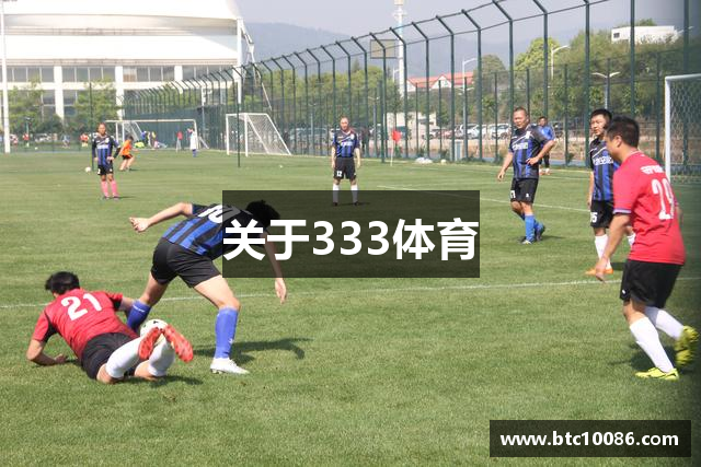 关于333体育